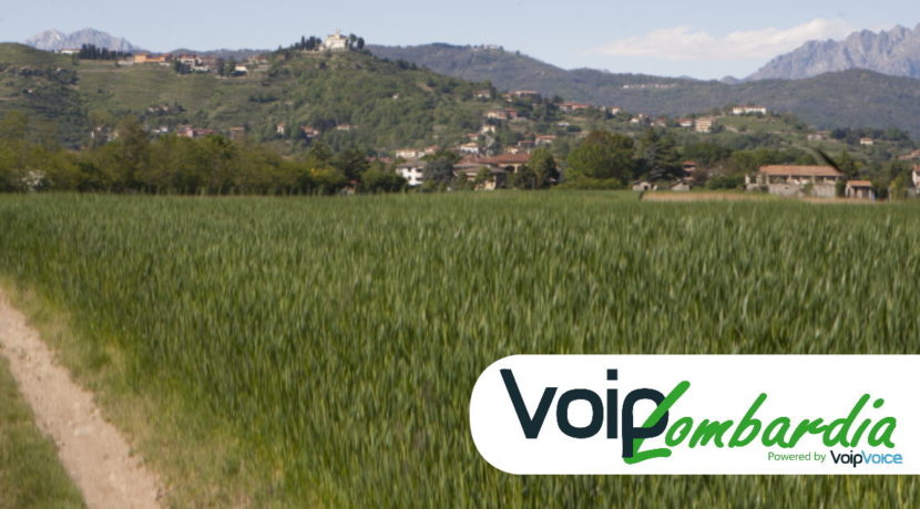 ADSL Fibra Connettività Professionale nel Comune di Lomagna